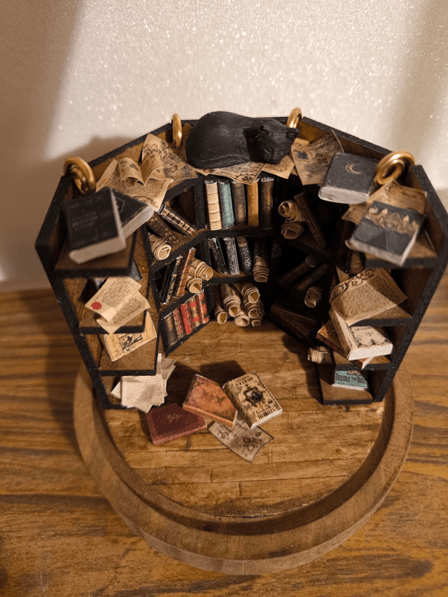 Bibliothèque chat
