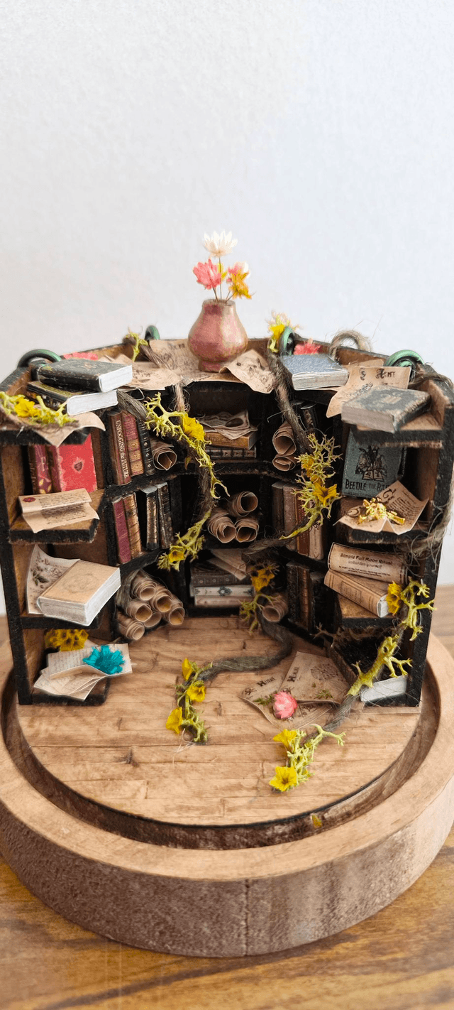 Bibliothèque Endormie