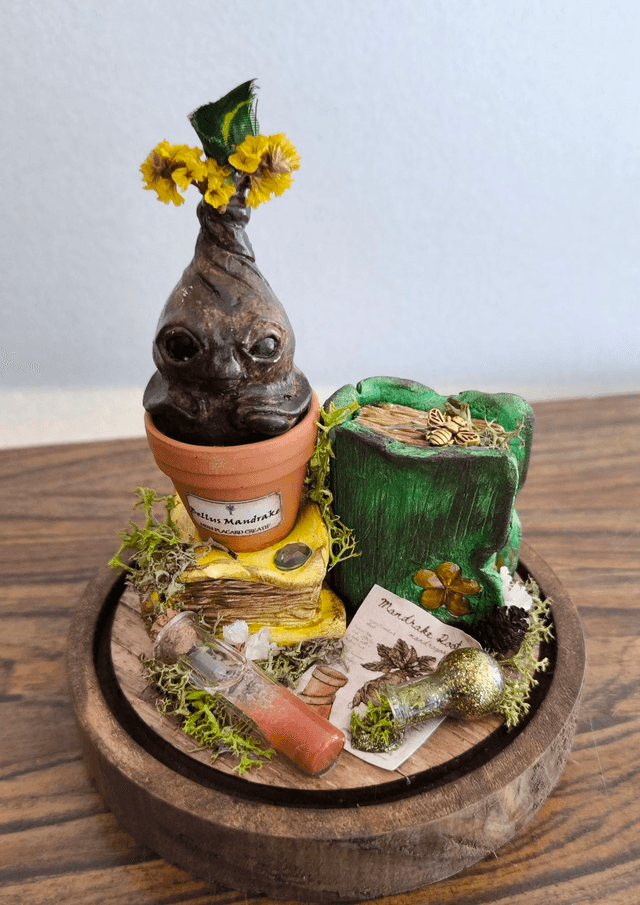 Plante magique Mandragore