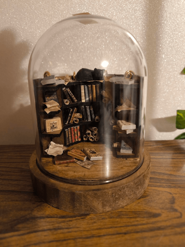 Bibliothèque chat