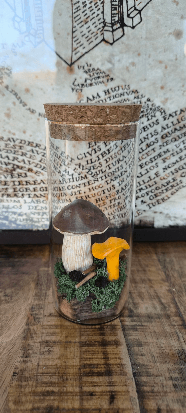 Champi'Cèpe et Girolle