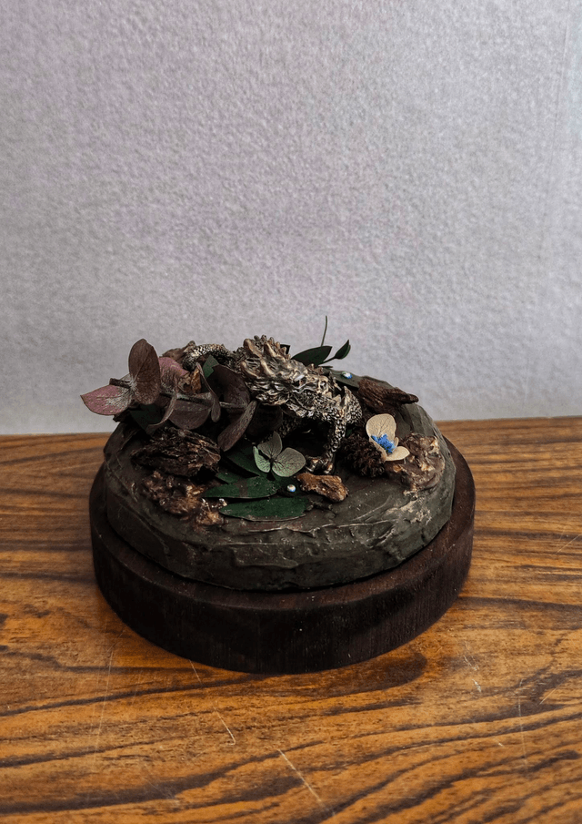 Dragon Gardien des Brumes