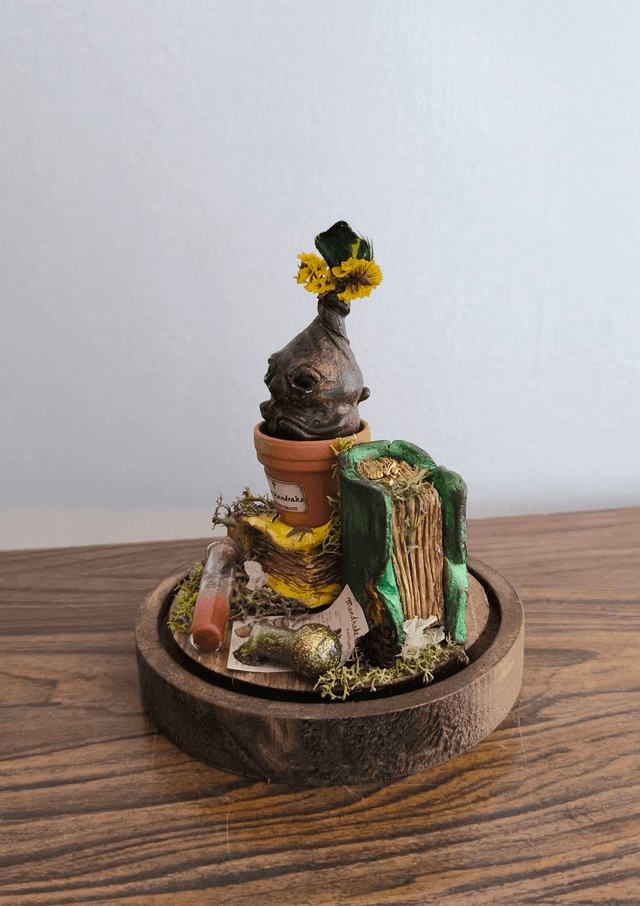 Plante magique Mandragore