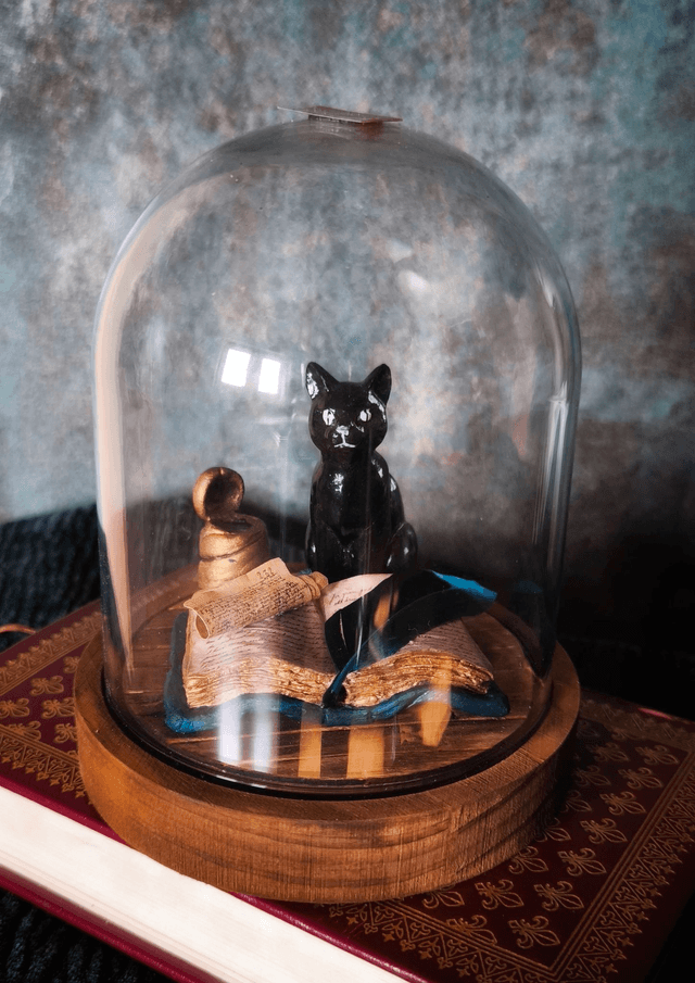 Chat Scribe bleu
