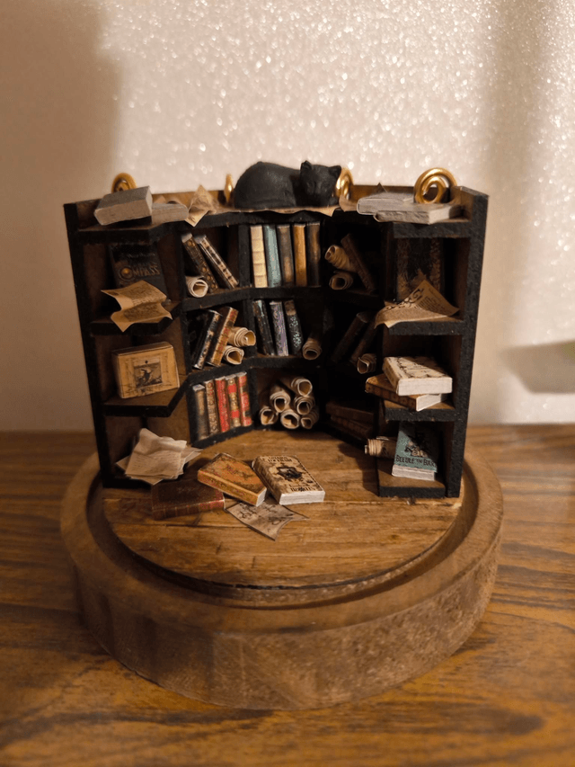 Bibliothèque chat